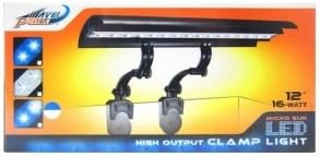 Wpt Fxtr Ho Cp Led Bl/Dy12in16