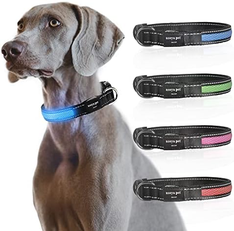 ASOYA PET LED Kutya Biztonsági Gallérral, USB Újratölthető Szuper Fényes Kutya Villogó Nyakörv, Vízálló, 4 Színben,
